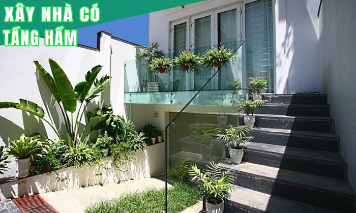 Thiết kế nhà bán hầm 11
